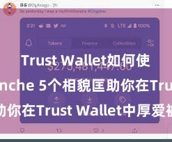 Trust Wallet如何使用Avalanche 5个相貌匡助你在Trust Wallet中厚爱被盗